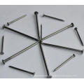 Wholesale Cheap Price Galvanized Iron Common Nails